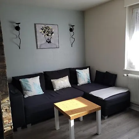 Au Cigogneau Wifi-balcon-parking Apartment