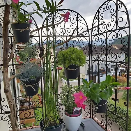 Au Cigogneau Wifi-netflix-balcon-parking マンステール