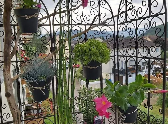 Au Cigogneau Wifi-netflix-balcon-parking Munster (Haut-Rhin)